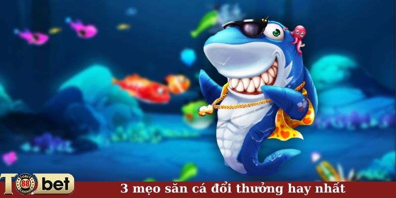 3 mẹo săn cá đổi thưởng hay nhất