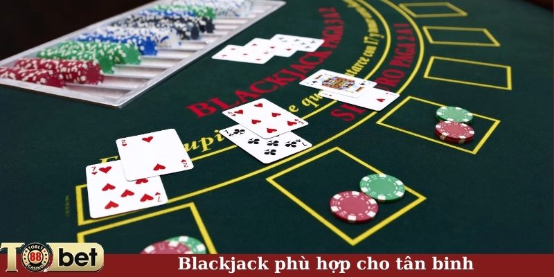 Blackjack phù hợp cho tân binh