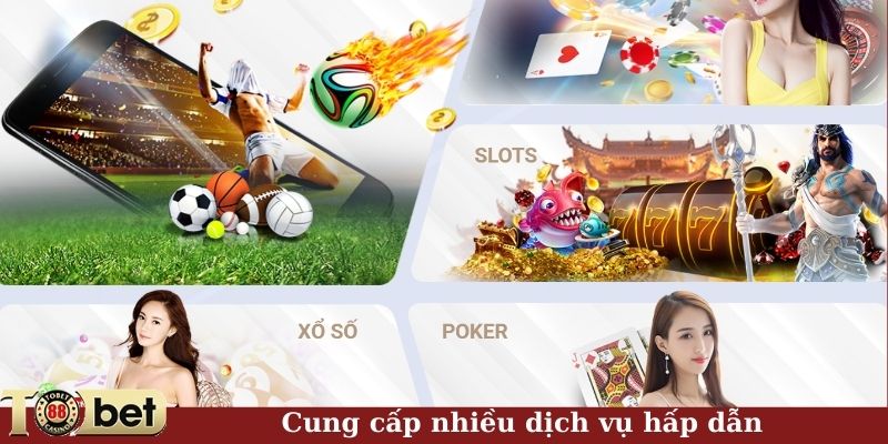 Cung cấp nhiều dịch vụ hấp dẫn