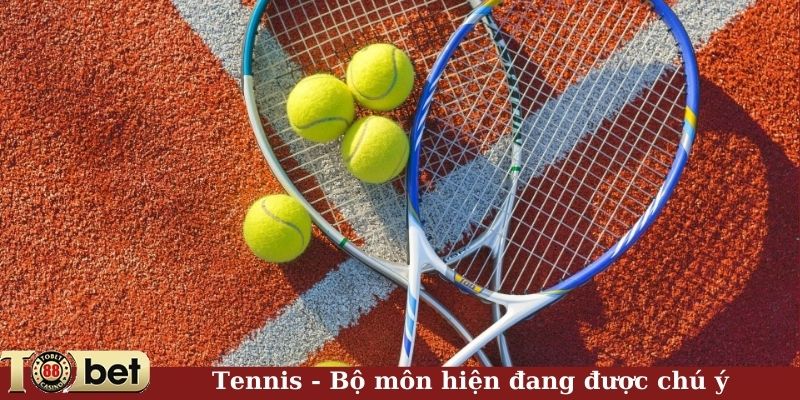 Tennis - Bộ môn hiện đang được chú ý